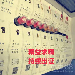 深圳餐飲服務(wù) 融合、創(chuàng)新與城市脈搏